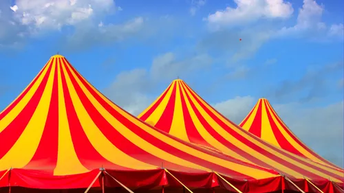 Bray-Dunes : pourquoi la mairie interdit l'ouverture du cirque...