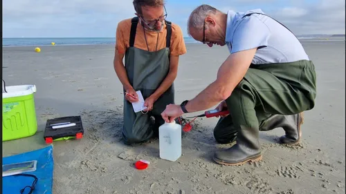 Wimereux : les chercheurs du CNRS observent une canicule marine...