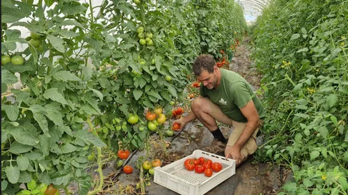 Wimille : la sécheresse menace les agriculteurs