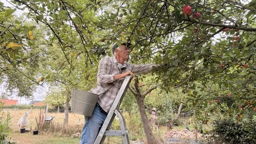 Nortkerque : face au défi climatique, la Fête de la Pomme revient...