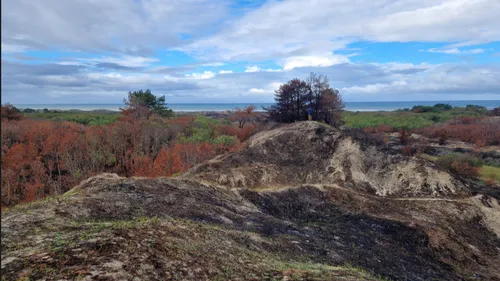 Dannes et Hardelot : après l’incendie, le mont Saint-Frieux va...