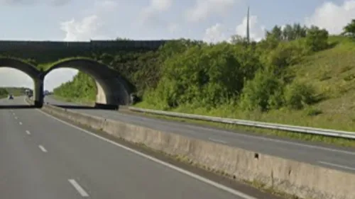 Lefaux : une voiture percute 7 sangliers sur l'A16
