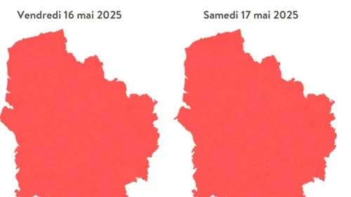 La région Hauts-de-France classée en alerte rouge aux pollens de...