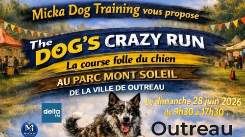 Outreau : 2ème édition de La Dog's Crazy Run dimanche 28 juin
