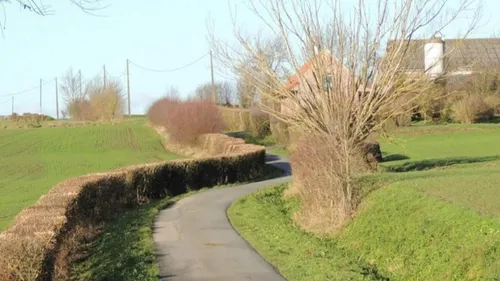 Cœur de Flandre : une aide pour favoriser la plantation d’arbres ou...