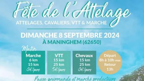 La Fête de l'Attelage ce dimanche 8 septembre à Maninghem