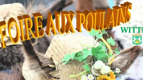 La Foire aux Poulains dimanche à Wittes.