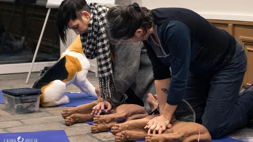Longuenesse : crise convulsive, coup de chaleur… une formation pour...