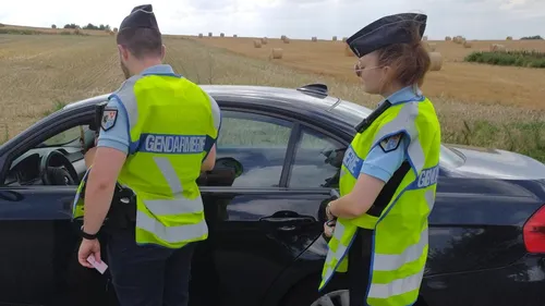 Du joint au juge : un trafic démantelé à Steenvoorde