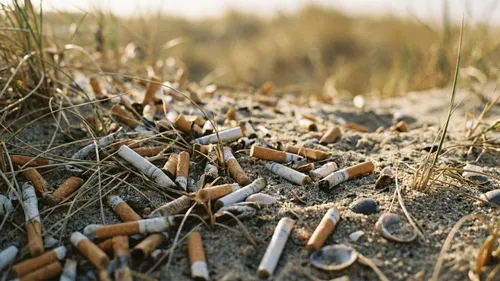Pas de Calais : 3 500 mégots ramassés sur le littoral, Eden 62 tire...