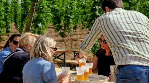 Saint-Sylvestre-Cappel : visites, concerts et animations à la...