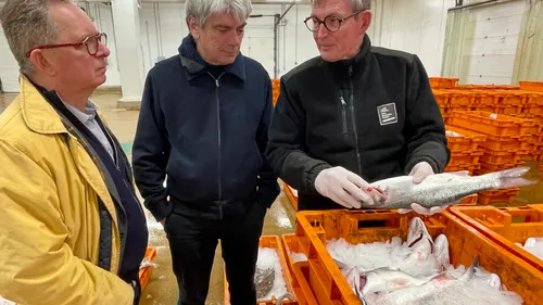 En mission parlementaire, 2 députés à Boulogne pour dresser un état...