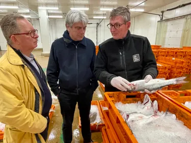 En mission parlementaire, 2 députés à Boulogne pour dresser un état...