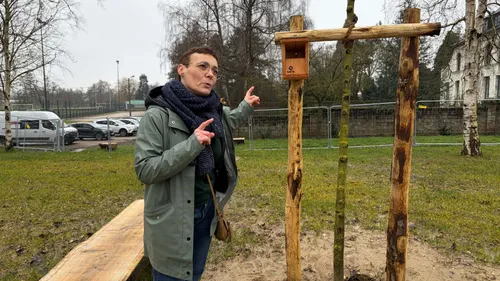Lumbres : le chantier de renaturation de l'ancienne piscine se...