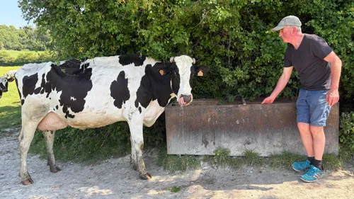 Alquines : les agriculteurs doivent s'adapter aux fortes chaleurs 