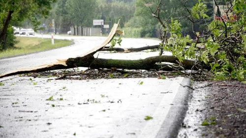 Pas-de-Calais : les sapeurs-pompiers sont intervenus à...