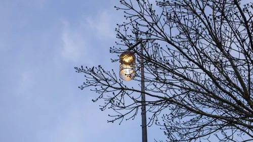 Des lycéens illuminent Calais avec des créations