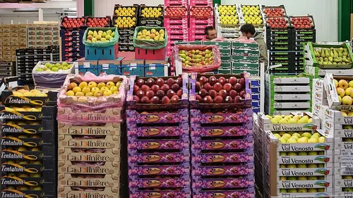 Le plus grand marché du frais au monde s’allie à Dunkerque : un...