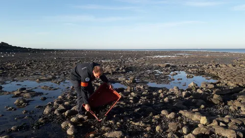 Boulonnais : restez dans les clous pour ramasser vos moules