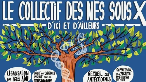 Née sous X, Anne a retrouvé sa mère biologique il y a 3 ans