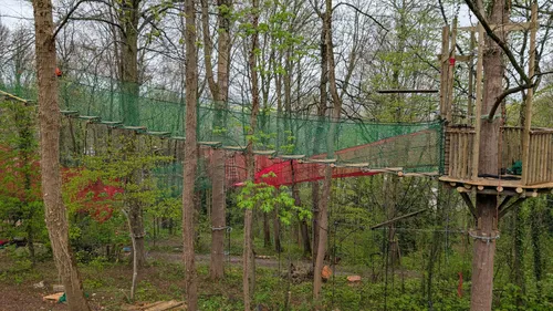 Nielles-lès-Bléquin : « une aire de jeux dans les arbres » en cours...