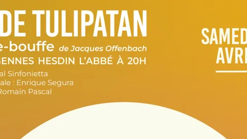 Opal Sinfonietta samedi à Hesdin l'Abbé