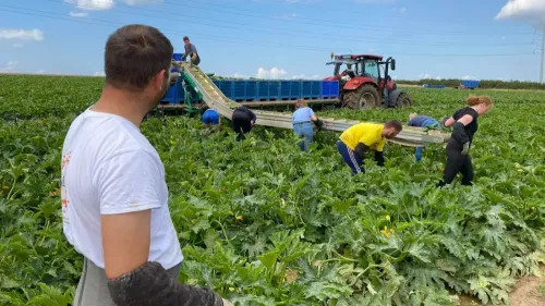 Une dérogation temporaire pour les agriculteurs des Hauts-de-France...