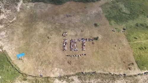 Les chantiers natures de l’IET de Hoymille, pour sauver la...