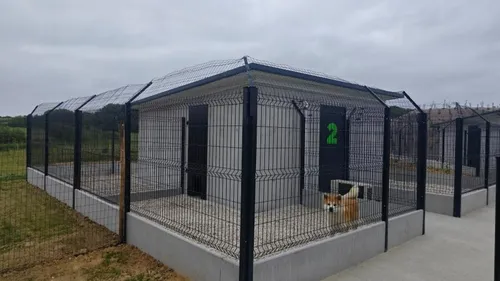 Des hébergements pour chiens et chats à Ebblinghem 