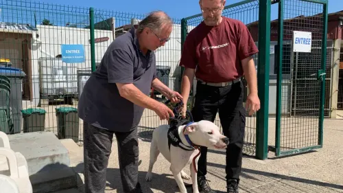 Toujours plus d'abandons d'animaux à la SPA en 2023
