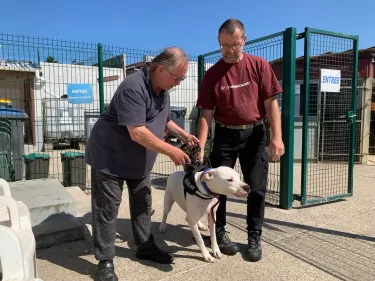 Toujours plus d'abandons d'animaux à la SPA en 2023