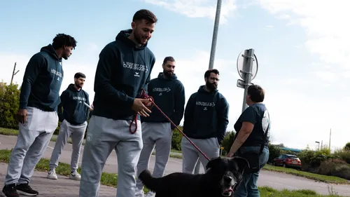 Hand : les joueurs de Dunkerque main dans la patte avec les animaux...