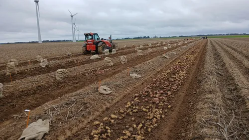 Flandres : Des conseils pour une nouvelle agriculture, à...