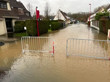 La colère de Xavier Bertrand face à l'inertie des compagnies...