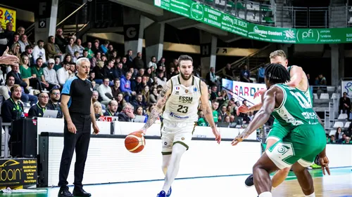 Basket : Au niveau recrutement, Le Portel, le rebond permanent