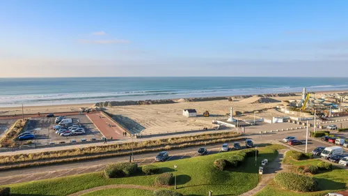 Le Touquet va organiser… une battue aux sangliers ce mercredi