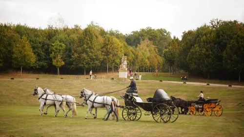 Les plus belles calèches du Monde vont se balader à Dunkerque...