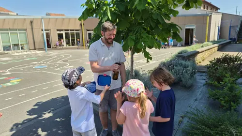Aération, hydratation et… cours dehors, on combat la chaleur dans...