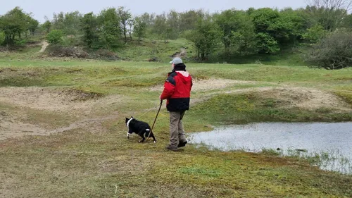 Pour le bien de la nature, tenez votre chien en laisse