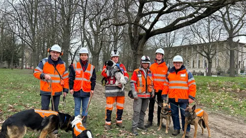 Boulonnais : Des chiens pour détecter les fuites d’eau