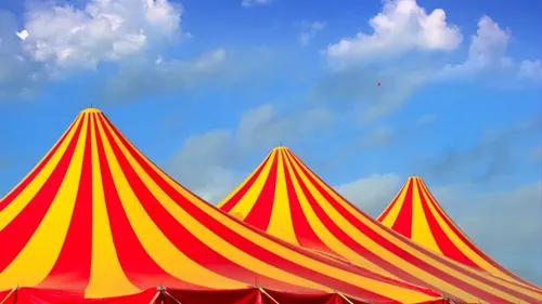 Le cirque Benzini n’a pas fait rire tout le monde cette semaine à...