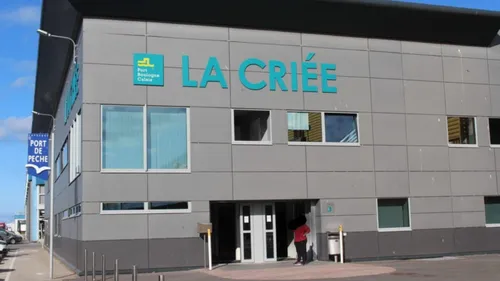 Une Criée encore plus moderne pour que le Port de Boulogne reste le...