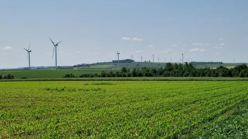 Plus petit, mais avec la même énergie, le parc éolien de...