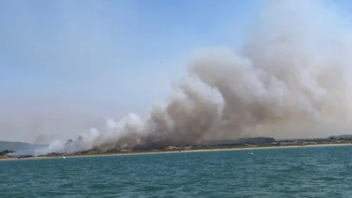 Incendies entre Dannes et Neufchâtel-Hardelot, 180 hectares de...