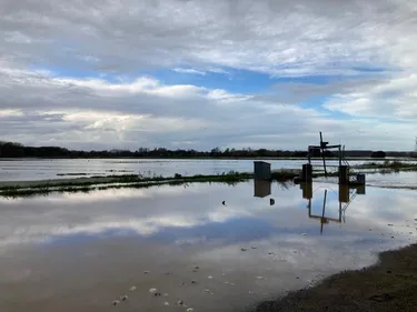 Inondations : de l’aide pour les agriculteurs de la Région