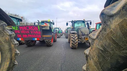 Les agriculteurs haussent le ton face à l’accord UE-Mercosur, avec...