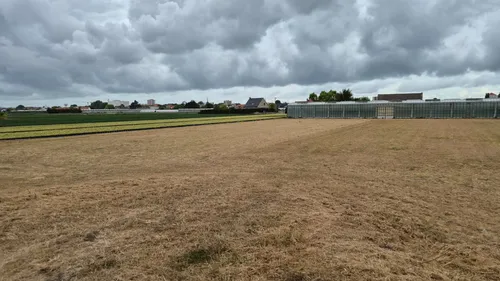 Dunkerque : la crise migratoire vers les serres de Rosendaël