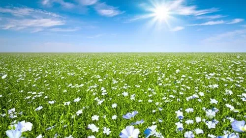 Bientôt un nouveau plan de protection de l’atmosphère pour une...