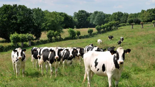 Comment se passe la transmission des exploitations agricoles dans...