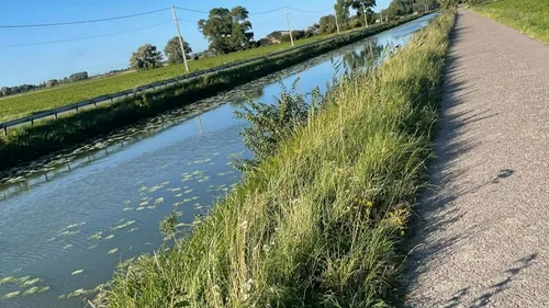 Looberghe : "Ce sentiment étrange, cette satisfaction, d’avoir...